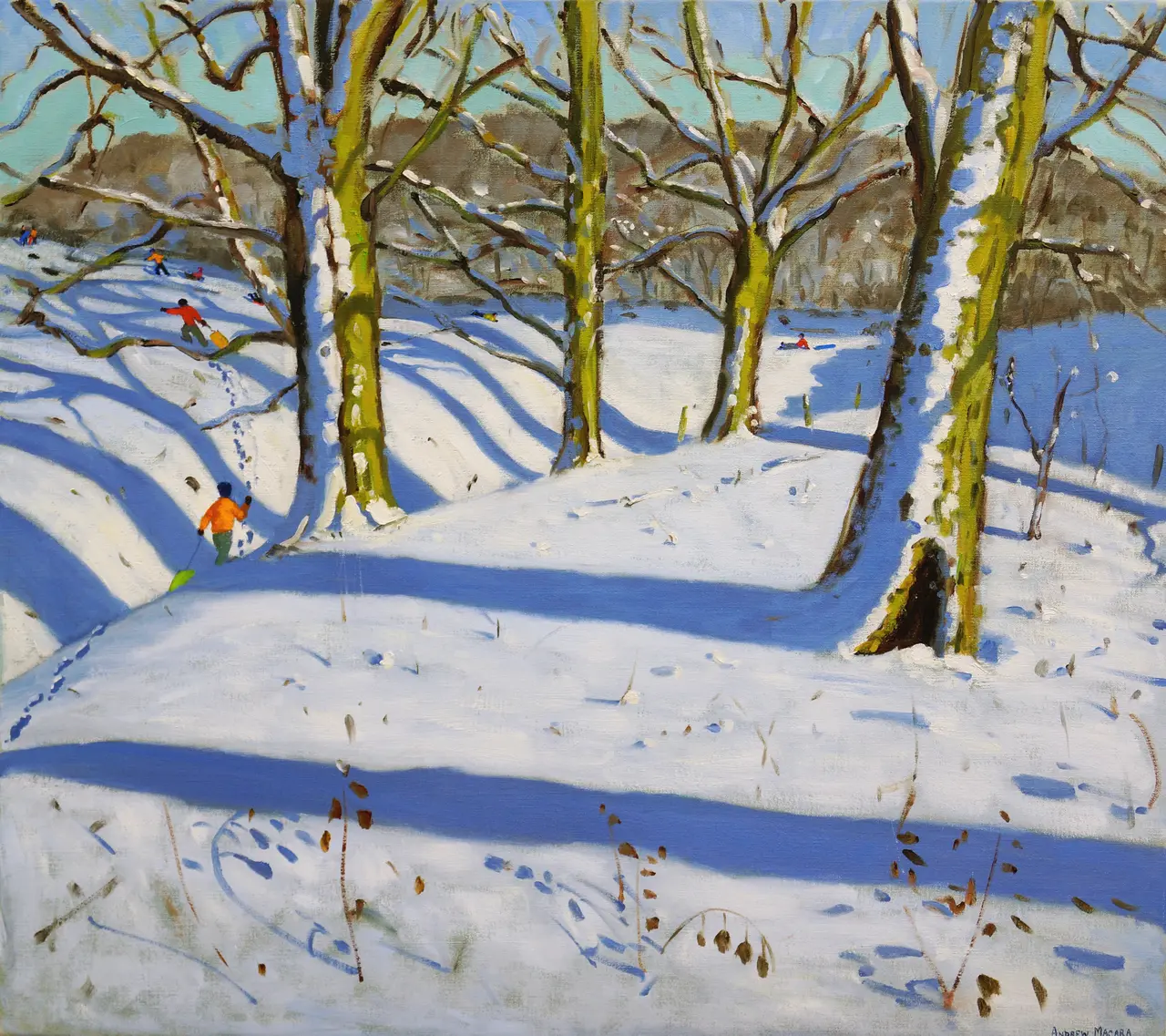 Andrew Macara - four trees, dam lane, tissington, derbyshire